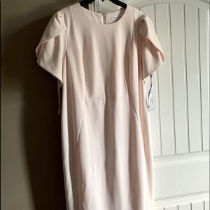 Calvin Klein Blush Dress 16W